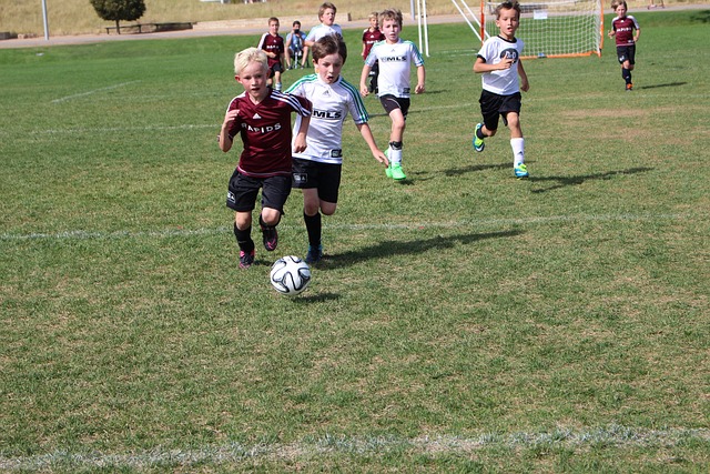 的粮食发展 的粮食发展